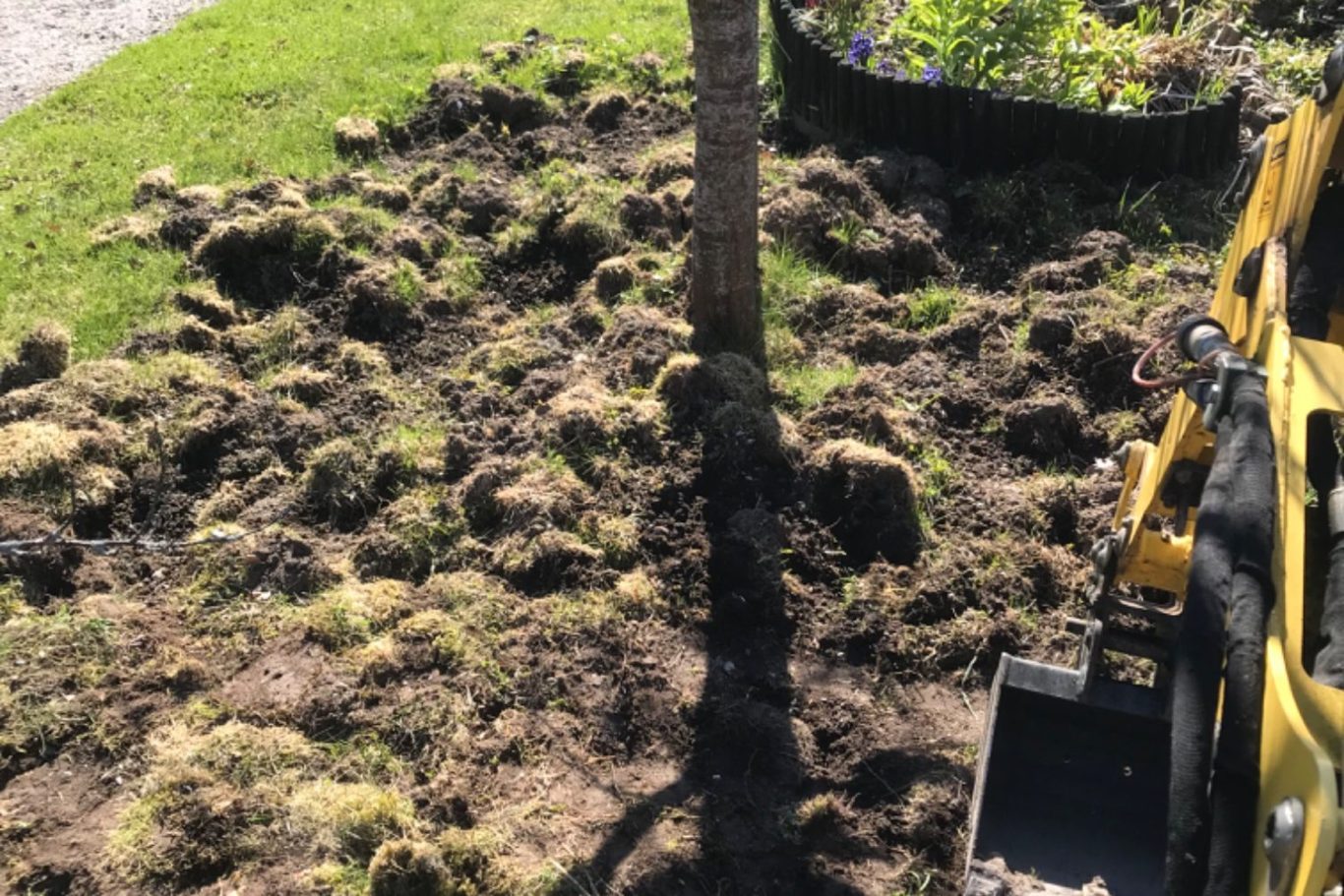 Reperation av bökskador av vildsvin Jordhög med gräs och rötter vid en grävskopa i en trädgård.