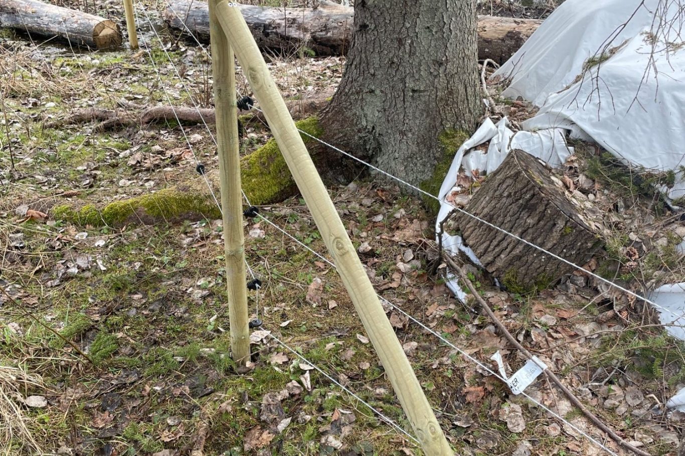 montering av vildsvinsstängsel vildsvinsstängsel