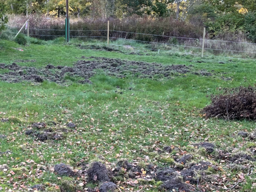 reparation av bökskador Fält med uppgrävd jord, gräs och högar av jord i en grönskande omgivning.