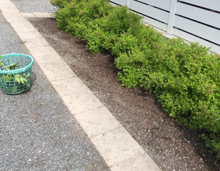 Skötsel av Brf ogräsrensning kring buskar och perenner.