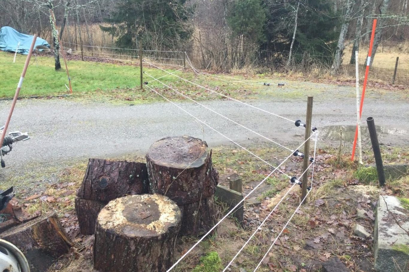 montering av vildsvinsstängsel vildsvinsstängsel